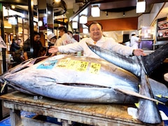 29 करोड़ रुपए की मछली? क्या खास है दुनिया की सबसे महंगी मछली में...