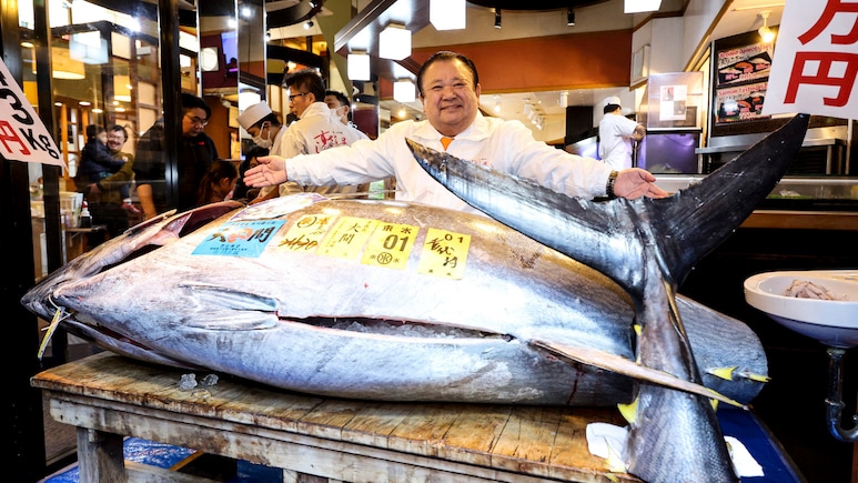 29 करोड़ रुपए की मछली? क्या खास है दुनिया की सबसे महंगी मछली में...