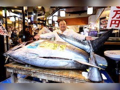 जापान में 29 करोड़ में बिकी टूना ब्लूफिन, जानिए 243 किलो की इस मछली में ऐसा क्या है खास