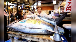 जापान में 29 करोड़ में बिकी टूना ब्लूफिन, जानिए 243 किलो की इस मछली में ऐसा क्या है खास