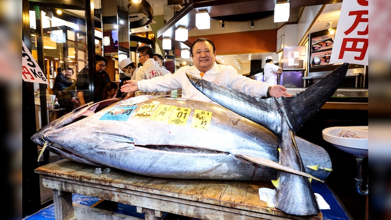 जापान में 29 करोड़ में बिकी टूना ब्लूफिन, जानिए 243 किलो की इस मछली में ऐसा क्या है खास