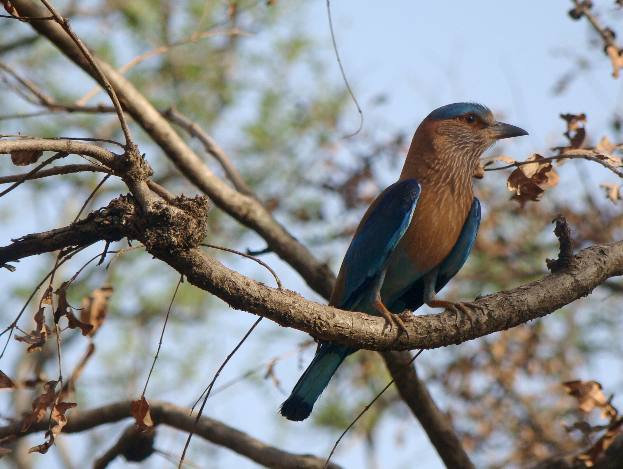 Nature Trails: What Wildlife Conservationists Read