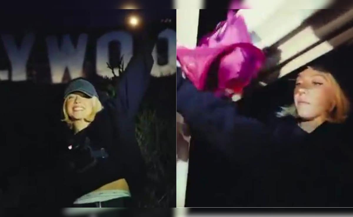 The Art of Baking: From Classic Bread to Artisan Pastries