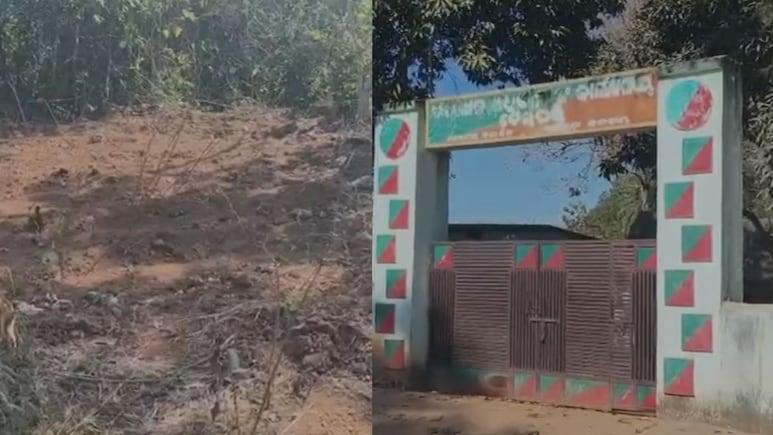 ओडिशा में बिजली के करंट से हाथी की हो गई थी मौत, कार्रवाई से बचने के लिए अधिकारी ने 32 टुकड़ों में शव को काट दफना दिया