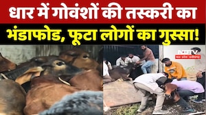 Dhar News: गोवंशों की तस्करी का भंडाफोड, फूटा लोगों का गुस्सा! | Cow Smuggling | Madhya Pradesh News
