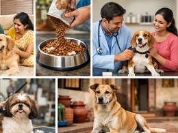 कुत्तों को सिर्फ प्यार करने के लिए न पालें, घर लाने से पहले जान लें उनका मेडिकल खर्च कितना
