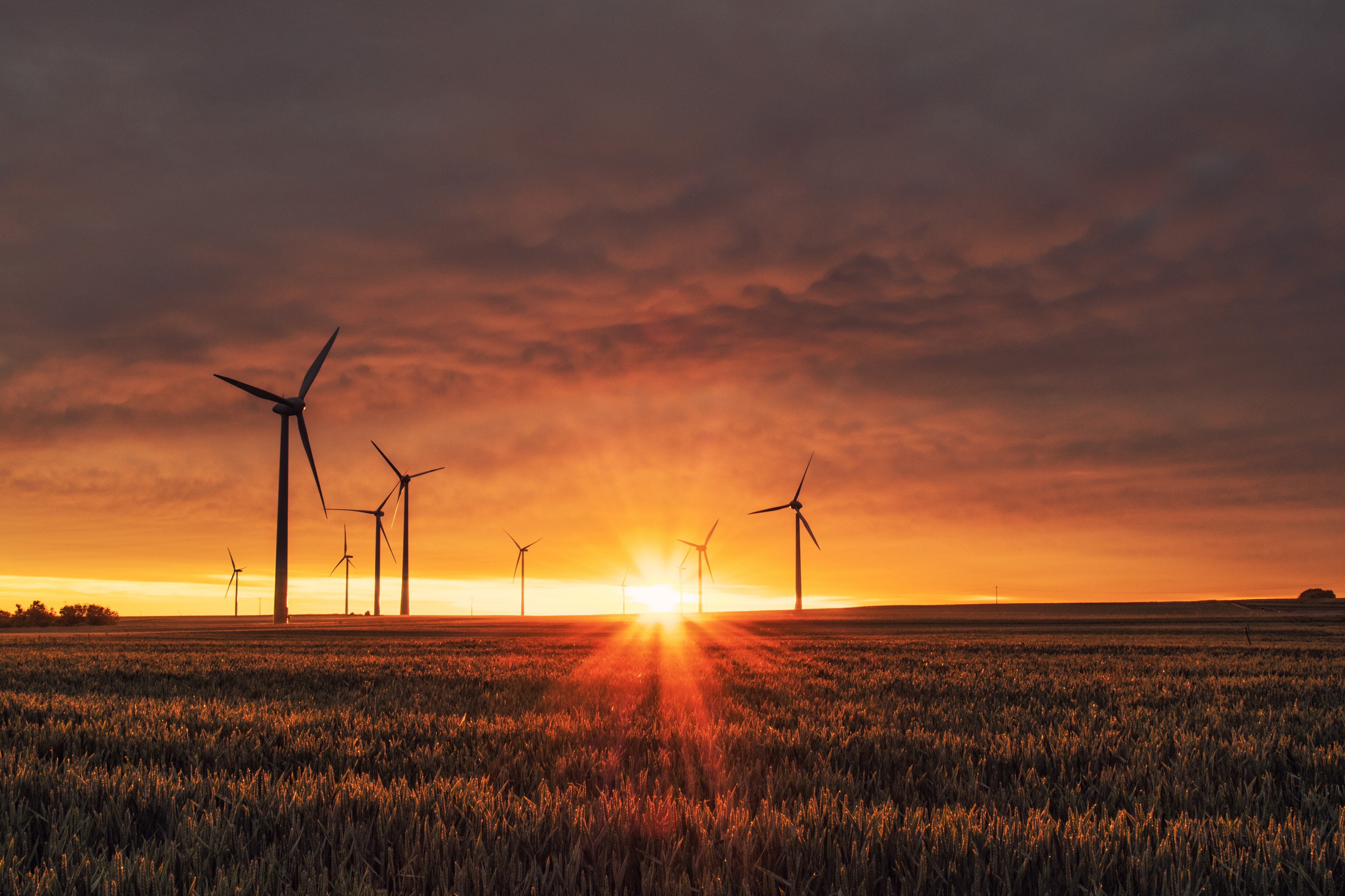 Capex To Keep Regulated Power Utilities Earnings Resilient In 2024, Say Brokerages