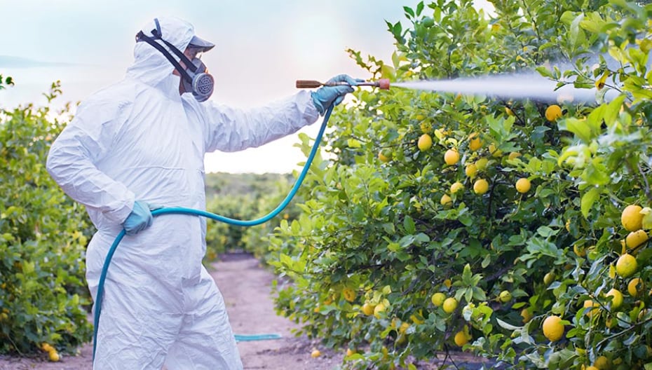 UPL To Raise Rs 4,200 Crore Via Rights Issue 