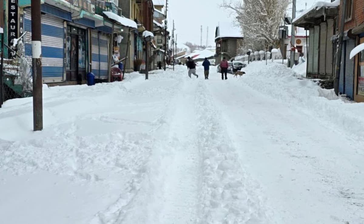 Latest and Breaking News on NDTV Latest and Breaking News on NDTV