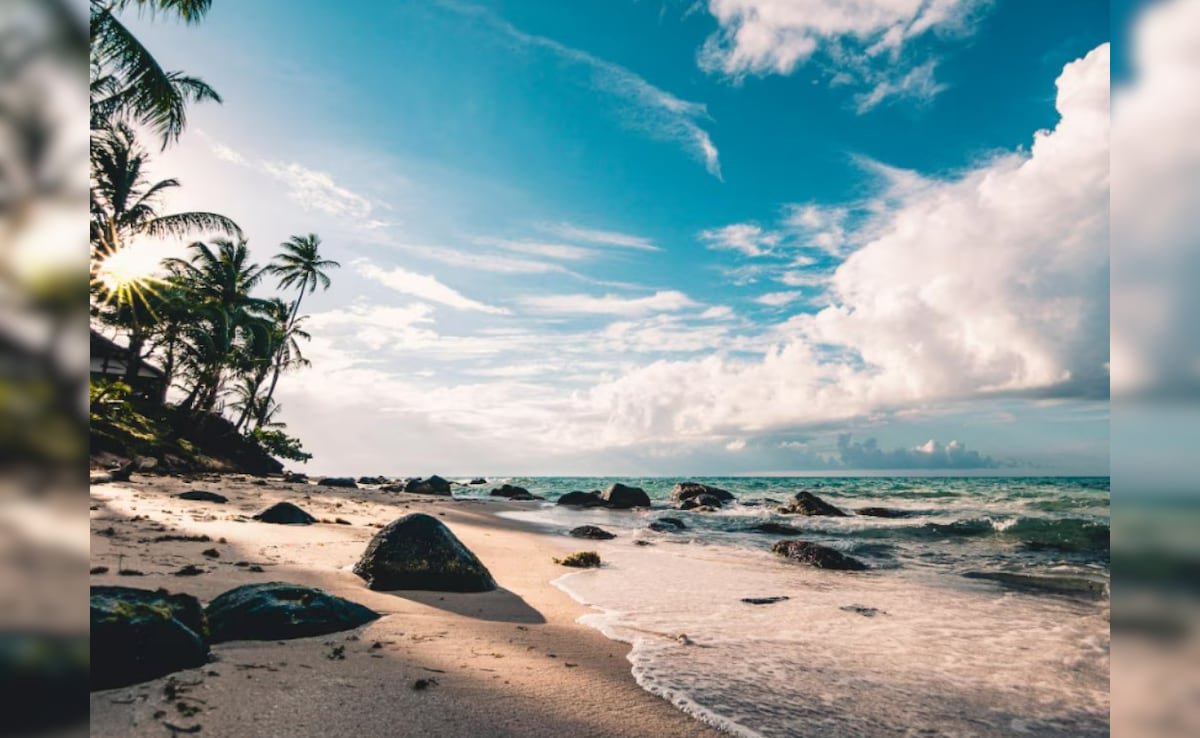 Latest and Breaking News on NDTV