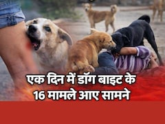 Dog Bite Cases: बालोद में आवारा कुत्तों का आतंक, एक दिन में डॉग बाइट के 16 मामले आए सामने