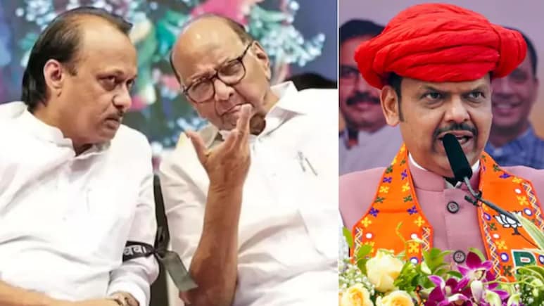 PMC Election Result : पुण्यात भाजपाच्या वादळात पवार परिवार उडाला! मोठ्या विजयाकडं BJP ची वाटचाल, पाहा अपडेट