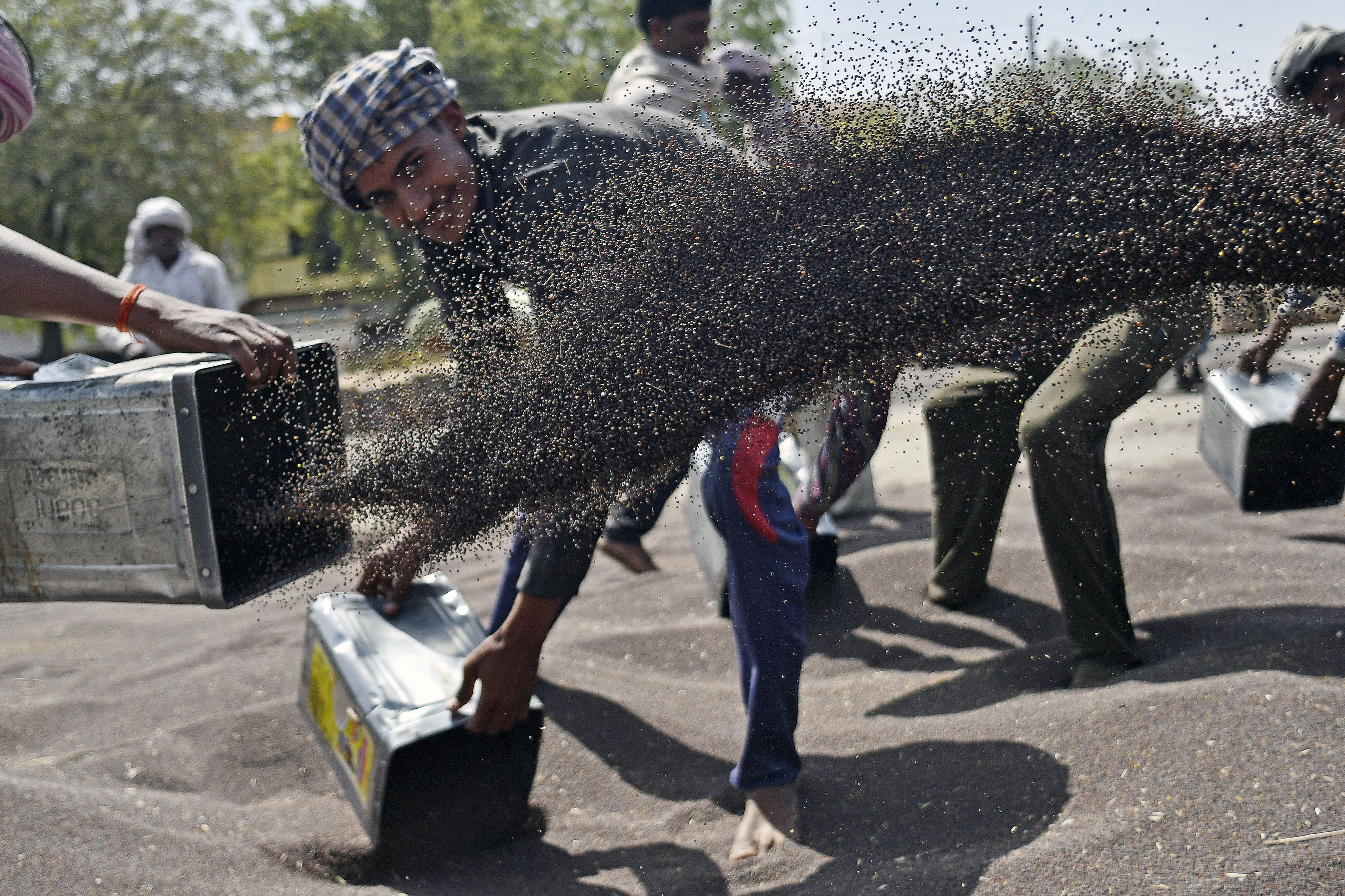 Modi&rsquo;s Kisan Scheme To Be Rolled Out Sunday; Over 1 Crore Farmers To Get Rs 2,000 Each In First Tranche