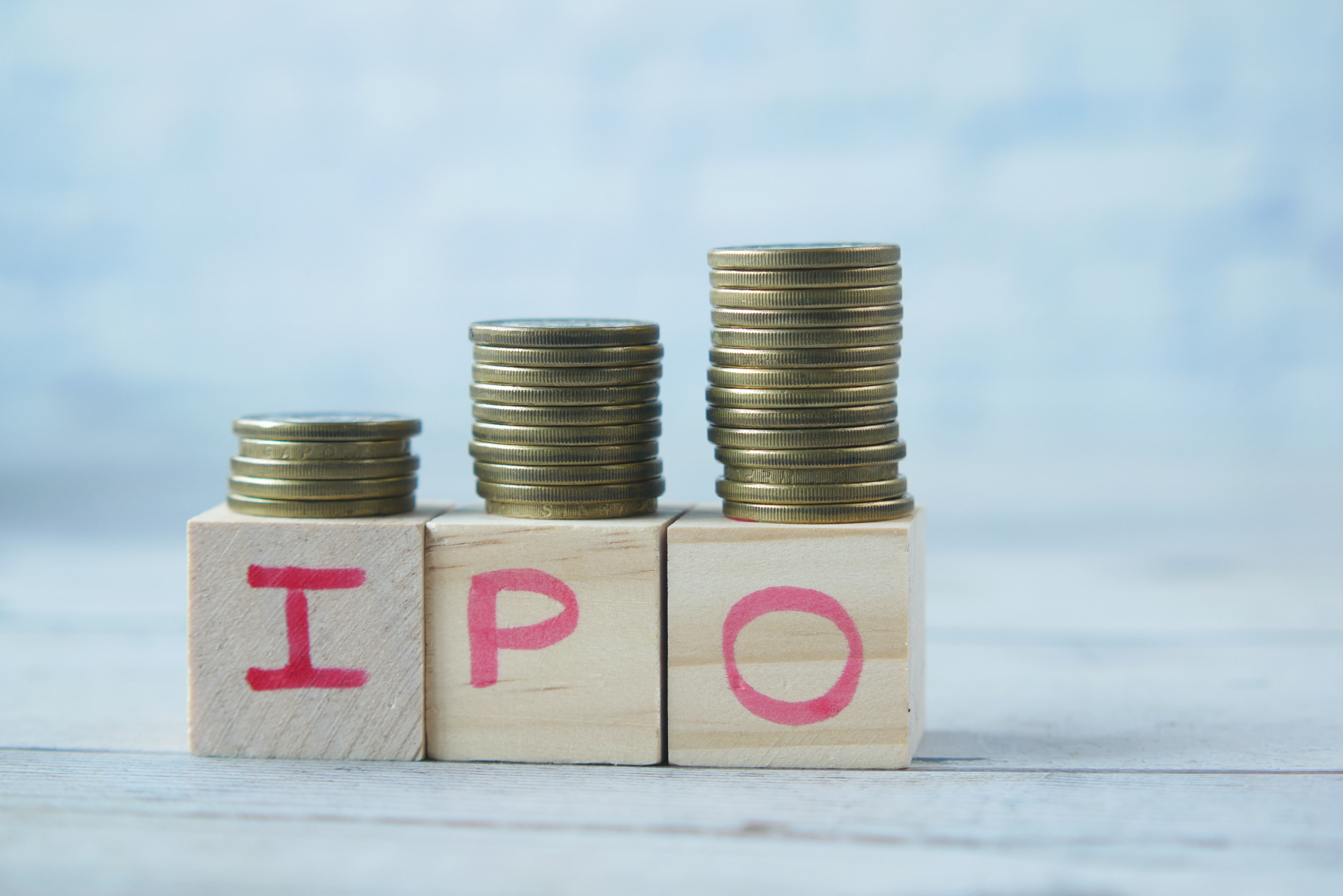 Bharti Hexacom IPO: Anchor Round Garners Rs 1,923.7 Crore