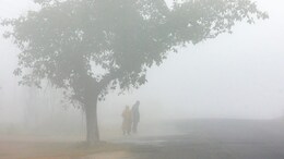 Rajasthan Winter: राजस्थान में 'माइनस' का टॉर्चर, नागौर और फतेहपुर में जमीं बर्फ, 23 जिलों के लिए रेड अलर्ट जारी