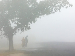 Rajasthan Winter: राजस्थान में 'माइनस' का टॉर्चर, नागौर और फतेहपुर में जमीं बर्फ, 23 जिलों के लिए रेड अलर्ट जारी