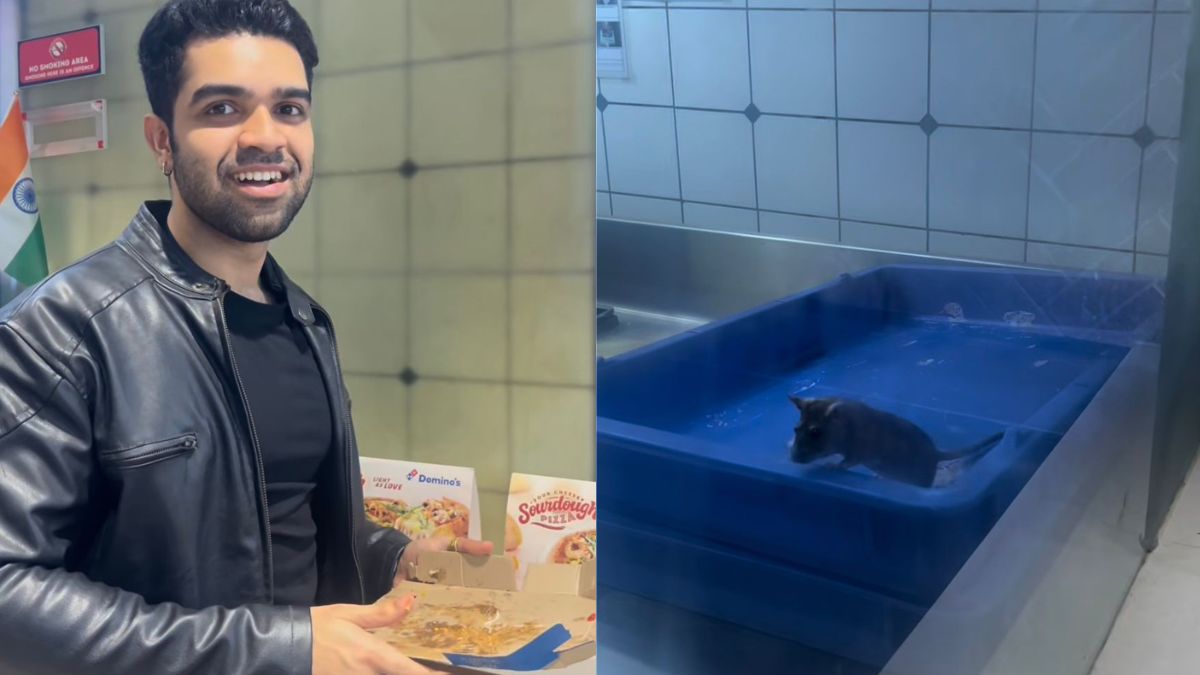 Watch: Rat Spotted At Domino's In Viral Video, Pizza Chain Responds