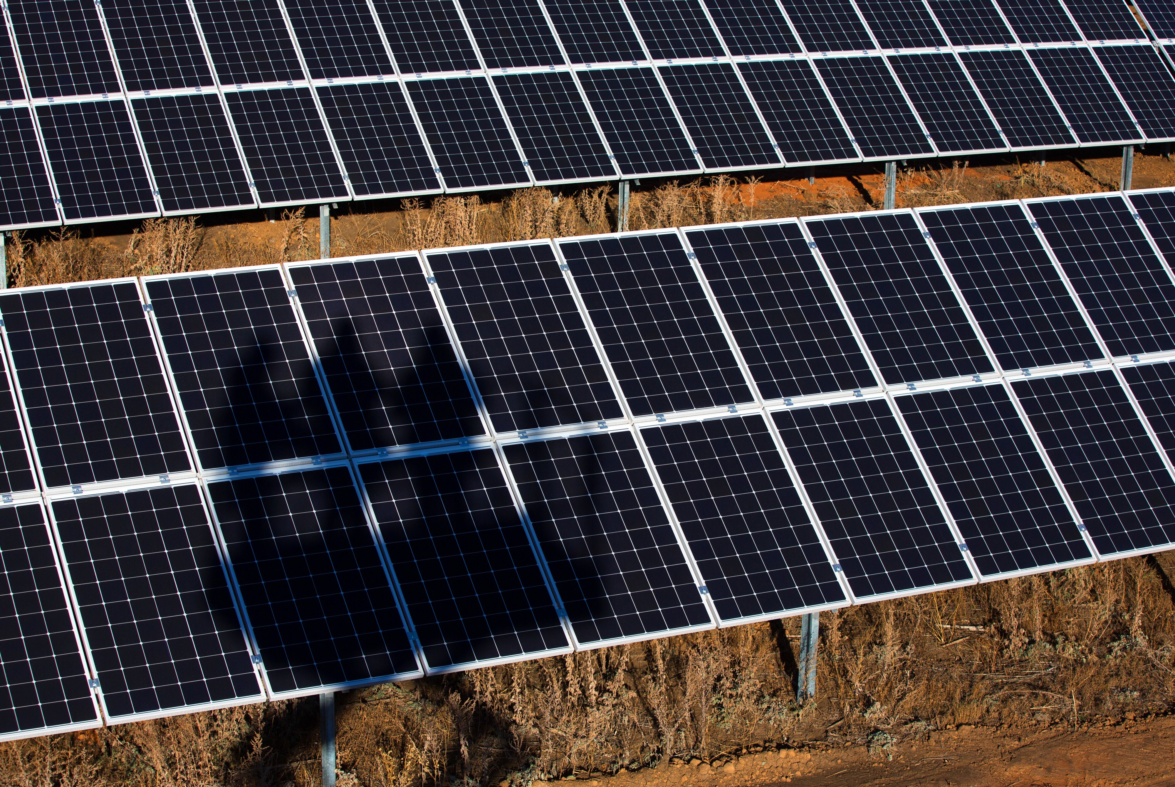 Solar Power Developers Say Safeguard Duty Has Put Projects At Risk