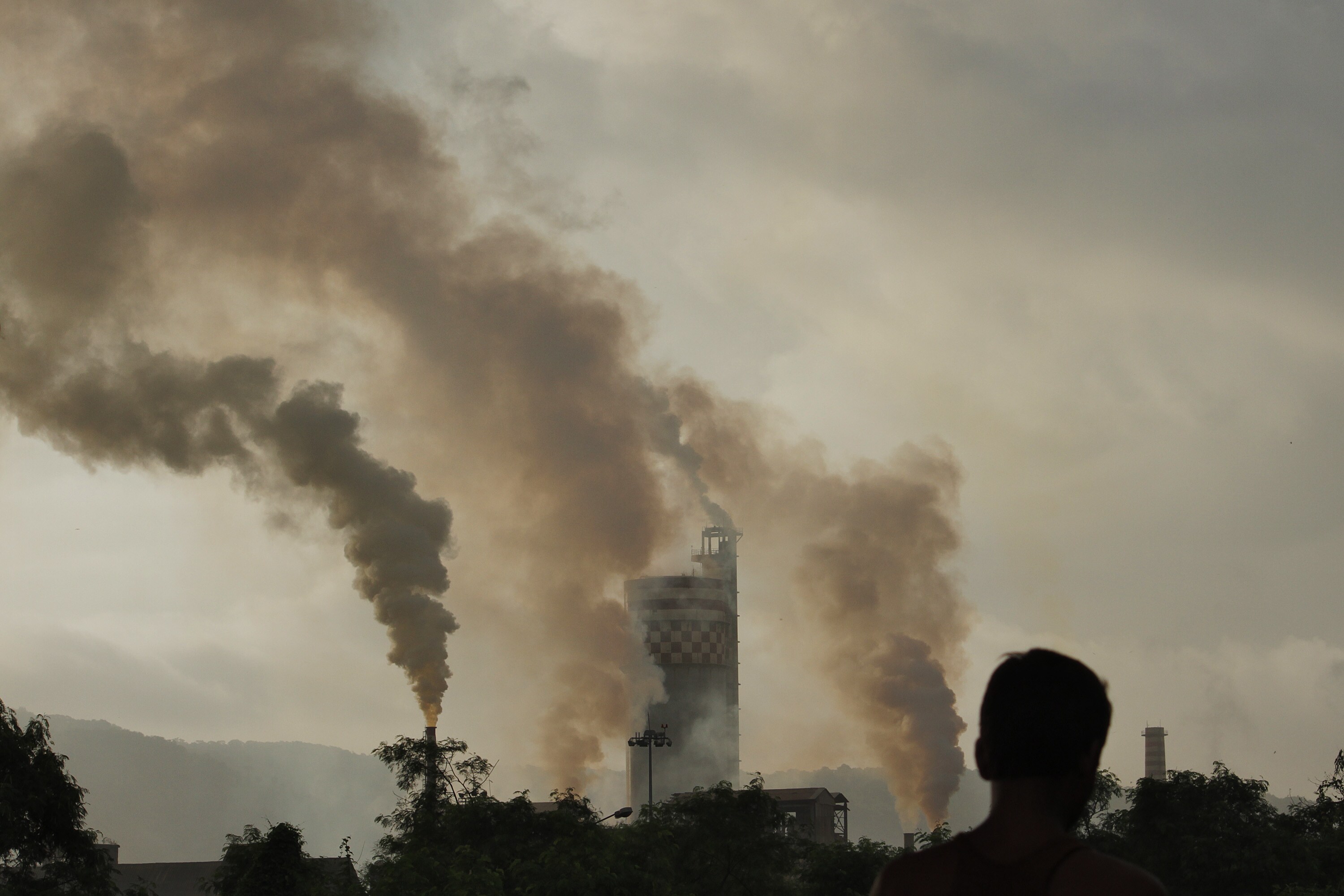 Air Pollution Leads To Lower Verbal, Math Scores: Study