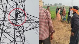 MP News: भाजपा के पूर्व विधायक पर सत्ता का दुरुपयोग कर जमीन कब्जाने का आरोप, पीड़ित हाई-टेंशन टावर पर चढ़ा