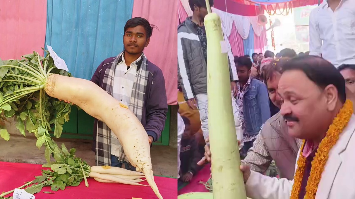 13 किलो की मूली और 8 किलो का गोभी, बिहार में किसान मेले को देख दंग रह गए लोग