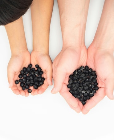 7 Health Benefits Of Black Beans