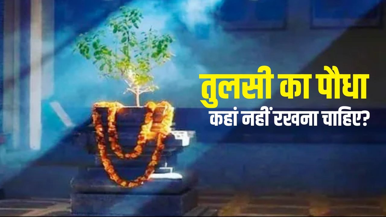 Tulsi Plant Vastu: घर में इन 5 जगहों पर नहीं रखना चाहिए तुलसी का पौधा, बढ़ सकती है आर्थिक परेशानियां और नेगेटिविटी