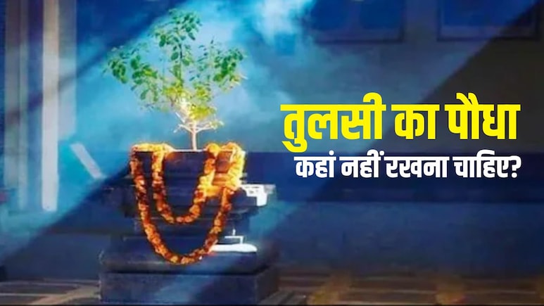 Tulsi Plant Vastu: घर में इन 5 जगहों पर नहीं रखना चाहिए तुलसी का पौधा, बढ़ सकती है आर्थिक परेशानियां और नेगेटिविटी