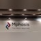 Mphasis Set For 47% Potential Upside, Says Motilal Oswal On Strong Deal Momentum — Full Details Inside