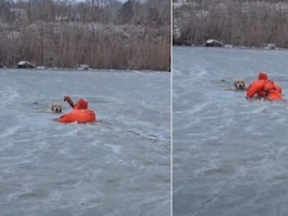 इंसानियत जिंदा है! बर्फीली झील में फंसे कुत्ते को बचाने उतरे हीरो, रेस्क्यू वीडियो आपको झकझोर देगा