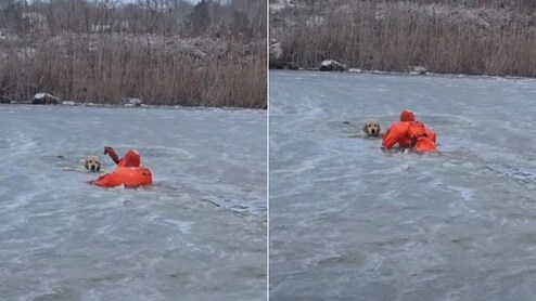 इंसानियत जिंदा है! बर्फीली झील में फंसे कुत्ते को बचाने उतरे हीरो, रेस्क्यू वीडियो आपको झकझोर देगा