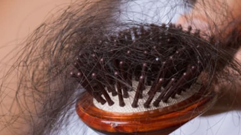 Hair Fall: हेयर सीरम से ज्यादा अच्छे हैं ये 3 आयुर्वेदिक बीज, बालों का झड़ना करेंगे कम, जानिए कैसे करें इस्तेमाल और फायदे