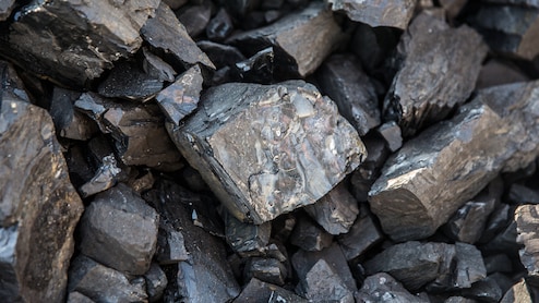 India, US Discuss Expanding Coal Trade at Goa Energy Summit