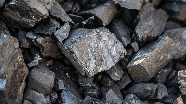 India, US Discuss Expanding Coal Trade at Goa Energy Summit