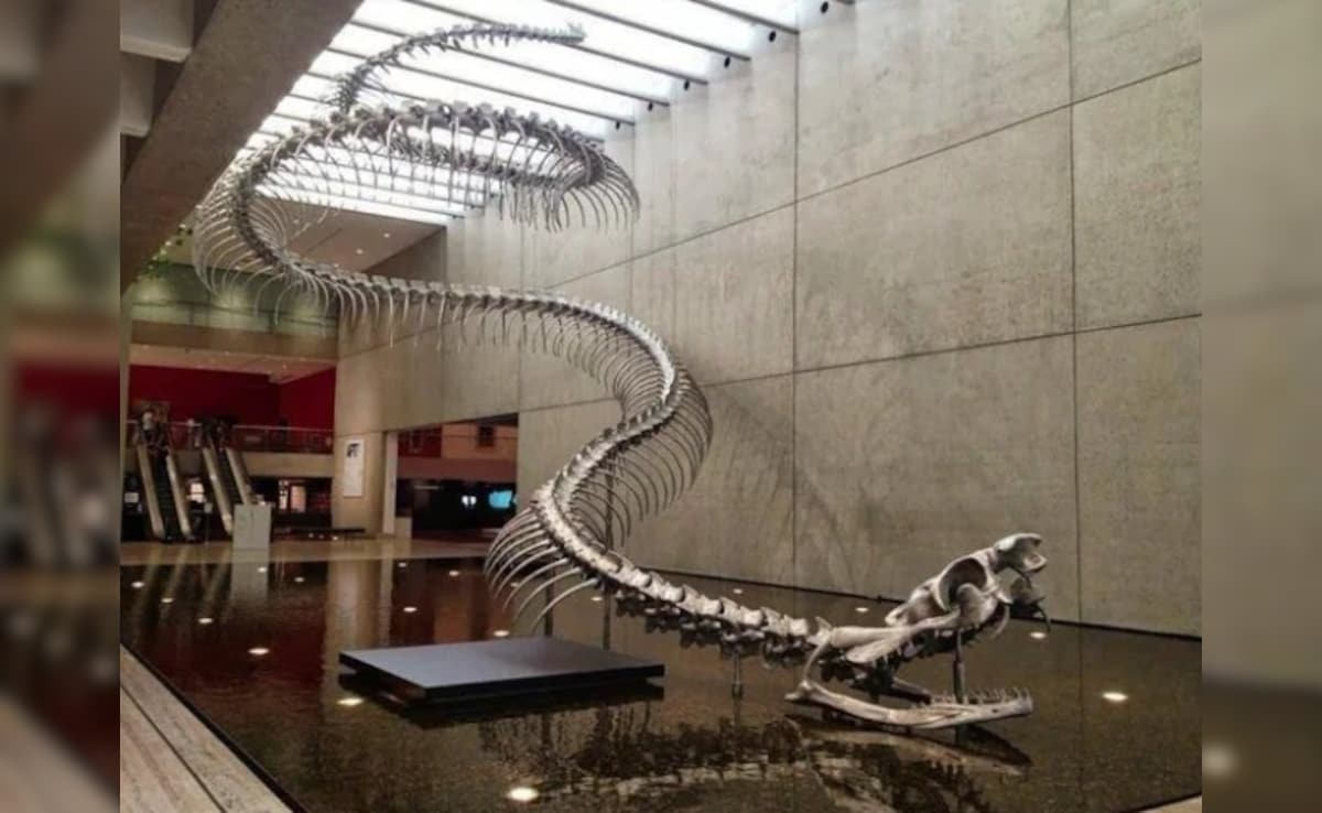 Latest and Breaking News on NDTV