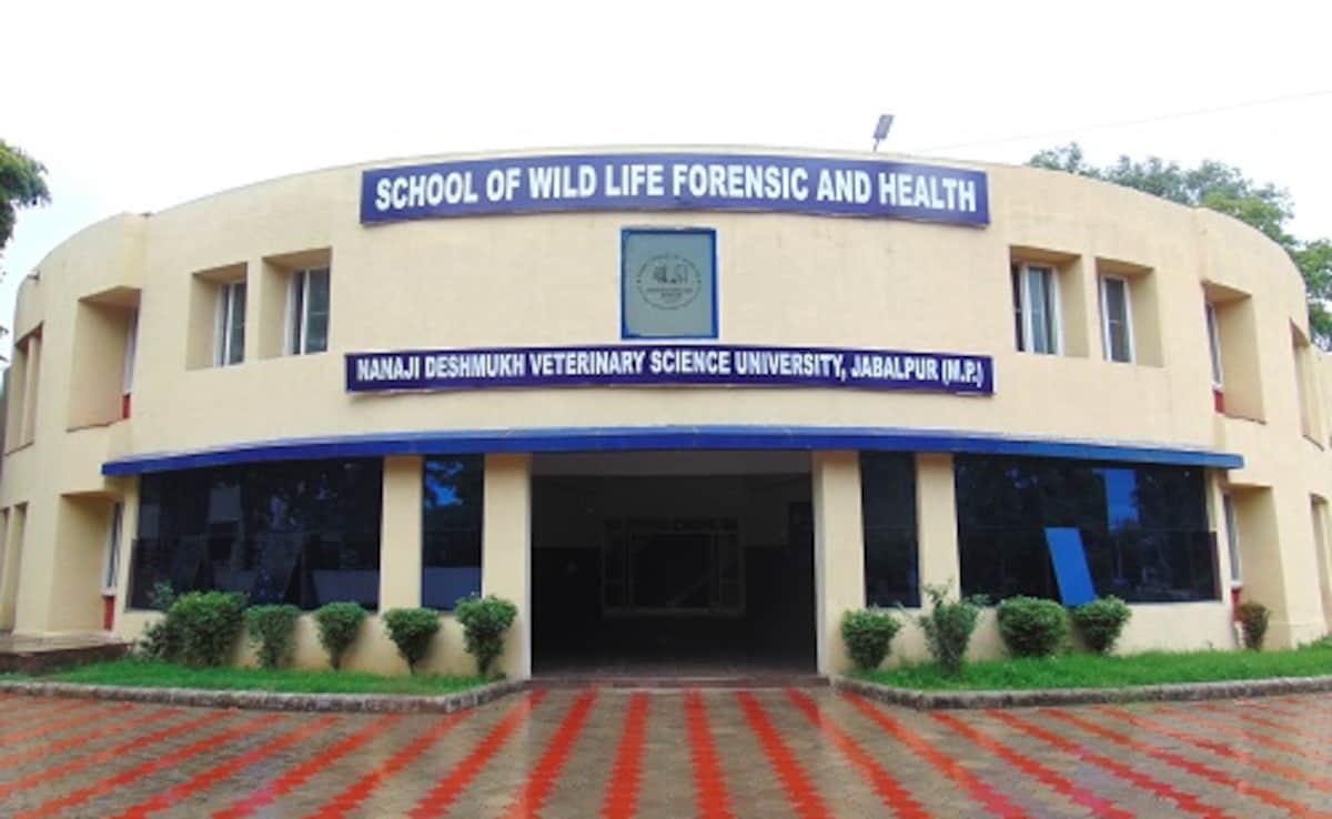 "Cancer Research" Project In Madhya Pradesh Under Scanner Over Financial Irregularities