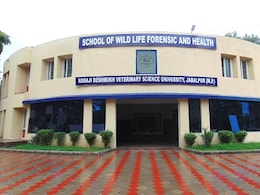 "Cancer Research" Project In Madhya Pradesh Under Scanner Over Financial Irregularities