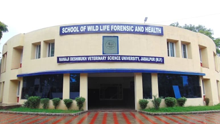 "Cancer Research" Project In Madhya Pradesh Under Scanner Over Financial Irregularities