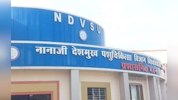 नानाजी देशमुख विश्वविद्यालय: पंचगव्य परियोजना घोटाले के आरोपों को किया खारिज, प्रशासन ने दिया ये जवाब