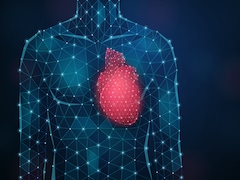 Understanding The Role Of Oxytocin In Heart Health, Emotional Wellbeing