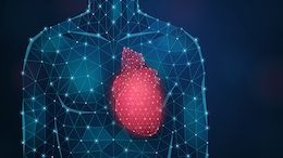 Lifestyle Coach Explains The Role Of Oxytocin In Heart Health And Emotional Wellbeing