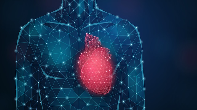 Lifestyle Coach Explains The Role Of Oxytocin In Heart Health And Emotional Wellbeing