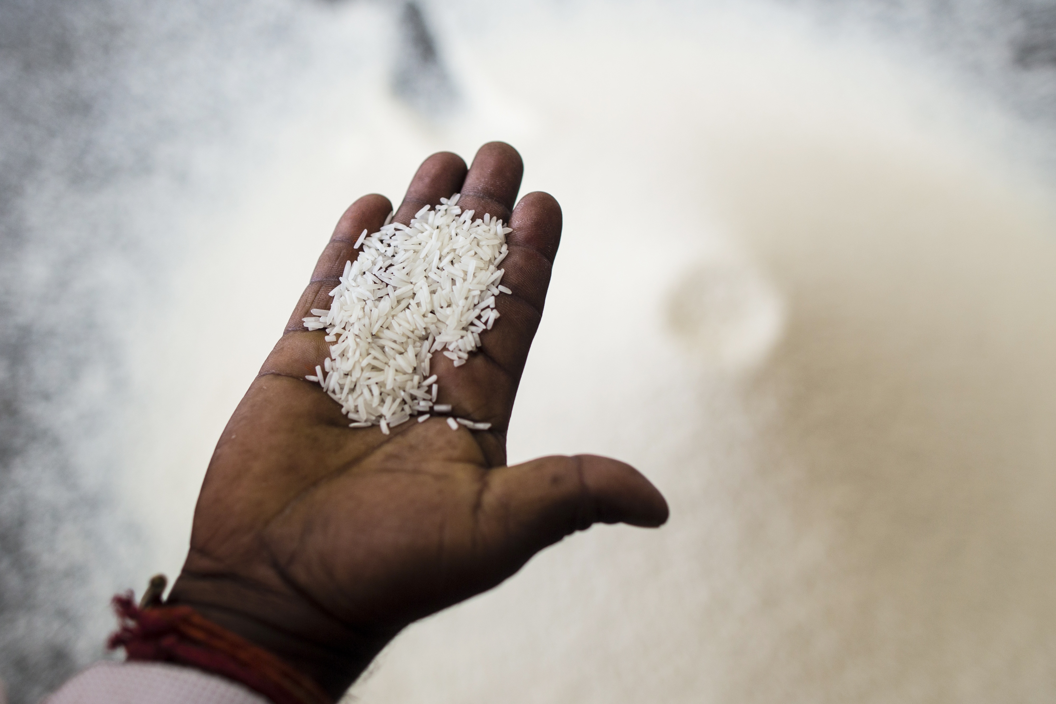 Enforcement Directorate Attaches REI Agro Assets Worth Rs 480 Crore