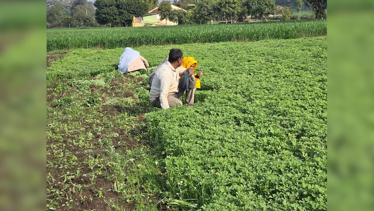 As US Trade Deal Enters Final Stretch, Centre Assures Silver Lining For Farmers