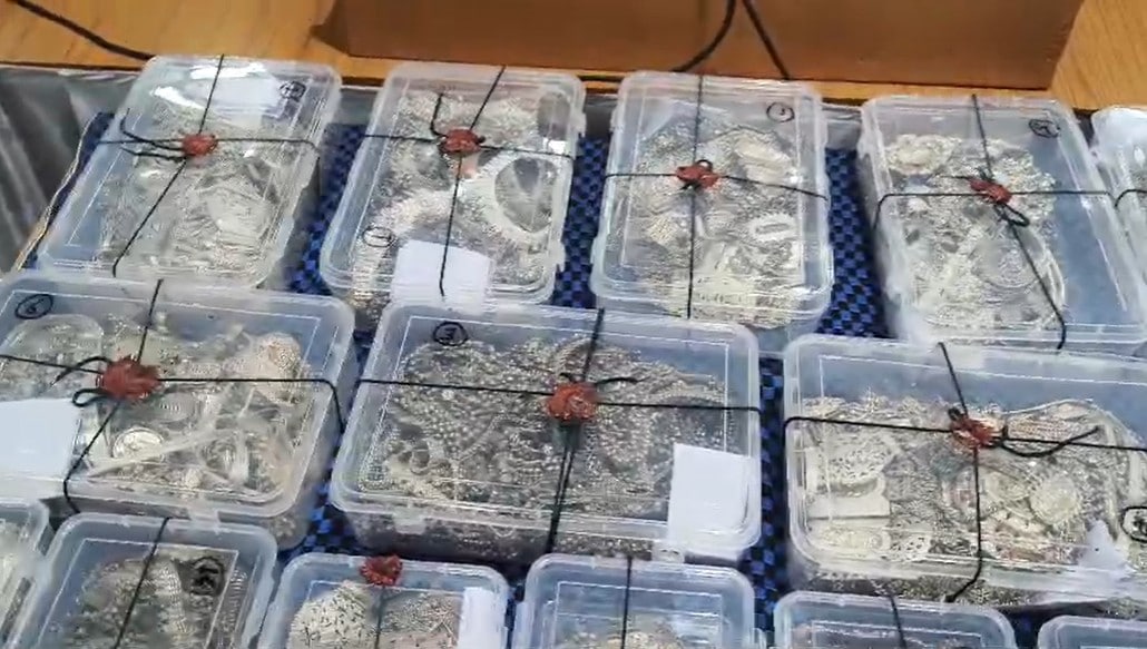 चोरों से बरामद हुए चांदी के आभूषण