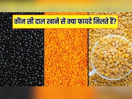 मूंग, मसूर, चना, अरहर और उड़द, कौन सी दाल खाने से क्या फायदे मिलते हैं?