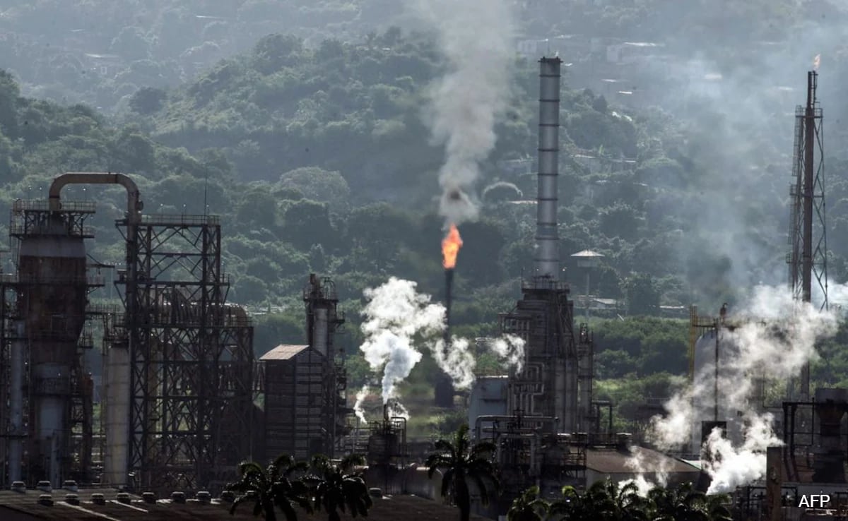 The Art of Baking: From Classic Bread to Artisan Pastries