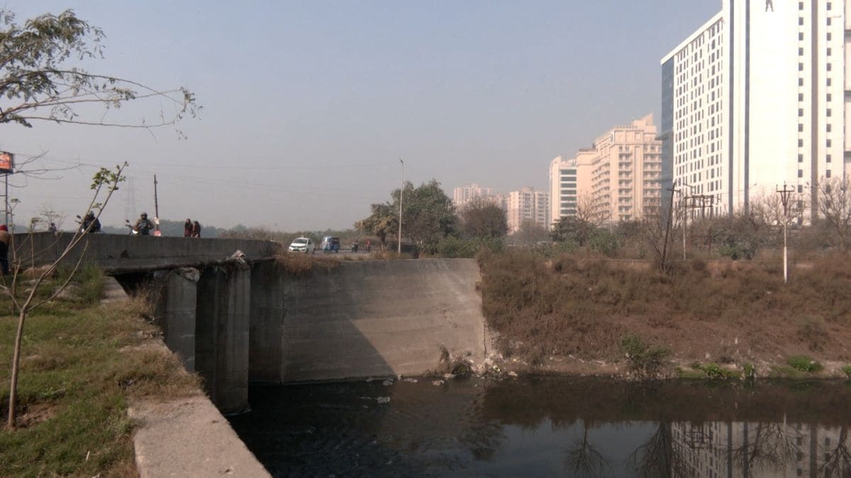 An open drain in Sector 136, Noida.