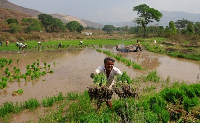 States Integrate Farmers Data With Central Portal
