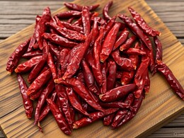 गुंटूर मिर्च: पाचन, रक्त शुद्धि और दर्द राहत का अद्भुत स्रोत